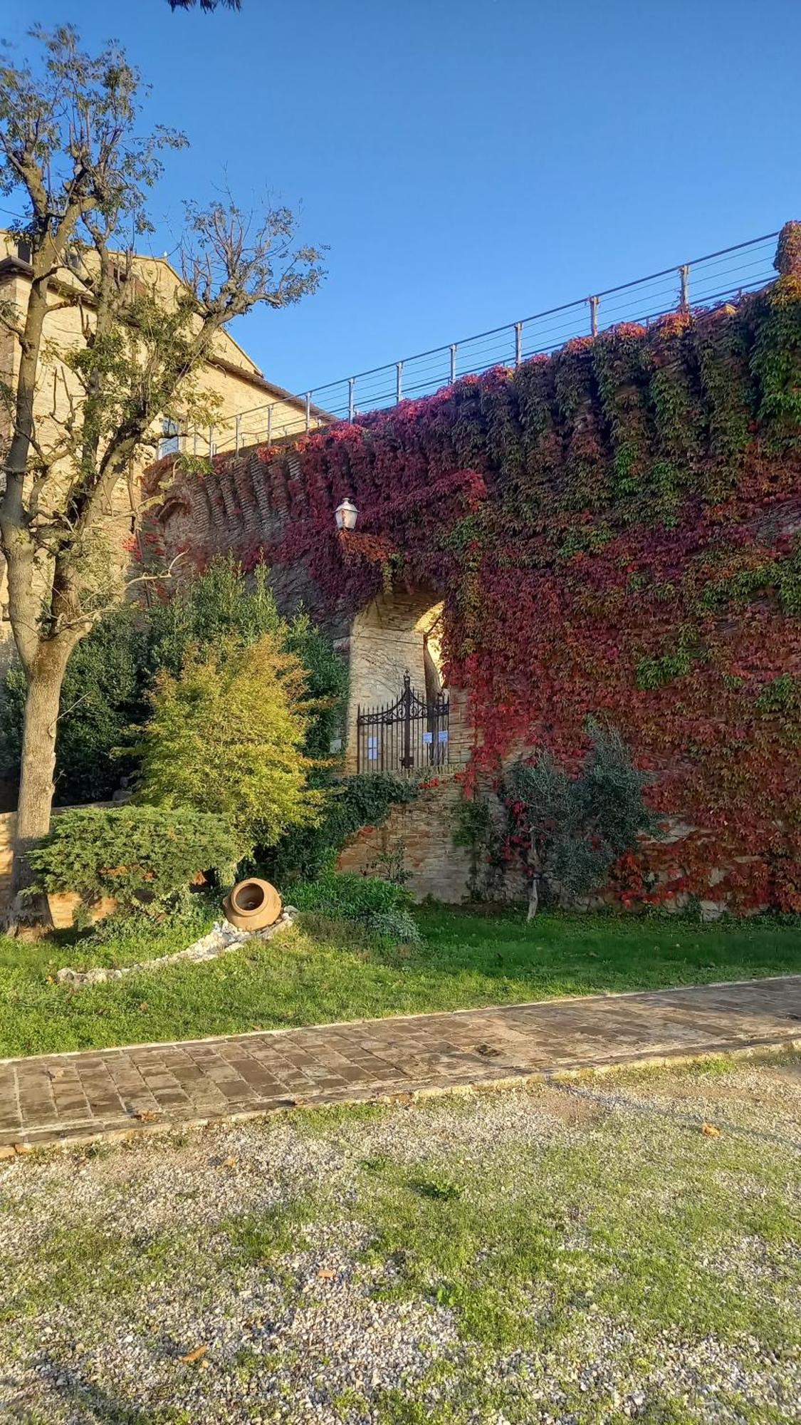 Novecento Apartment Bertinoro Exterior photo